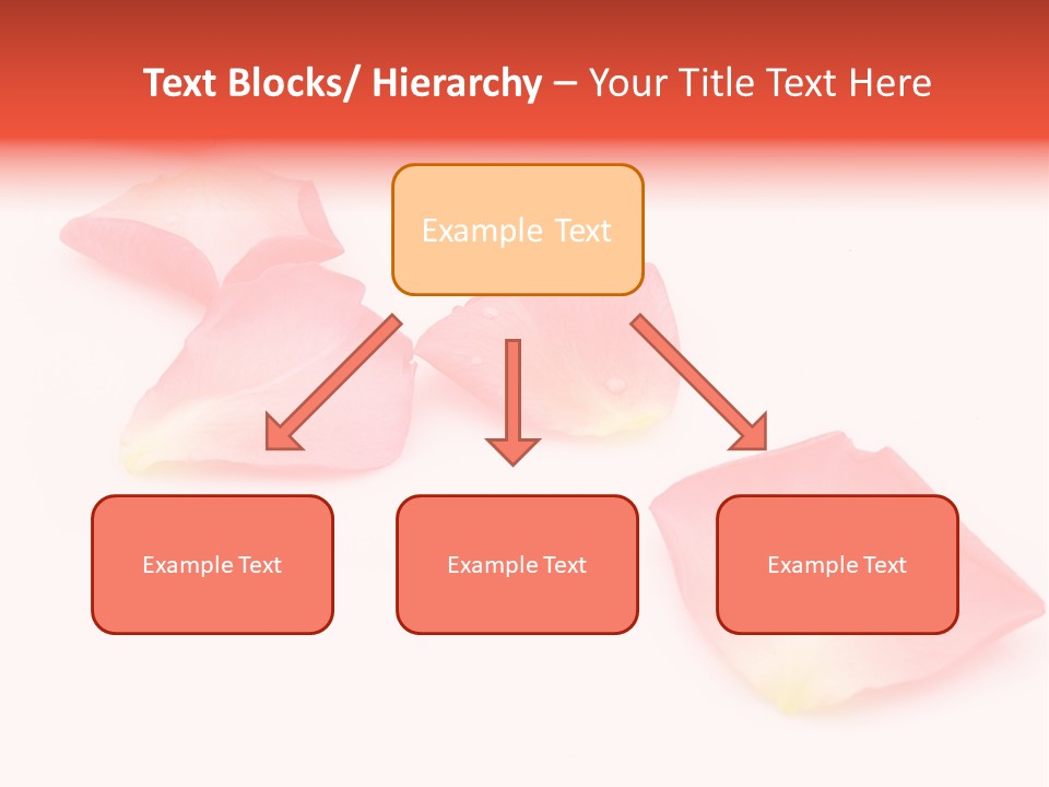 A Group Of Pink Flowers On A White Background PowerPoint Template