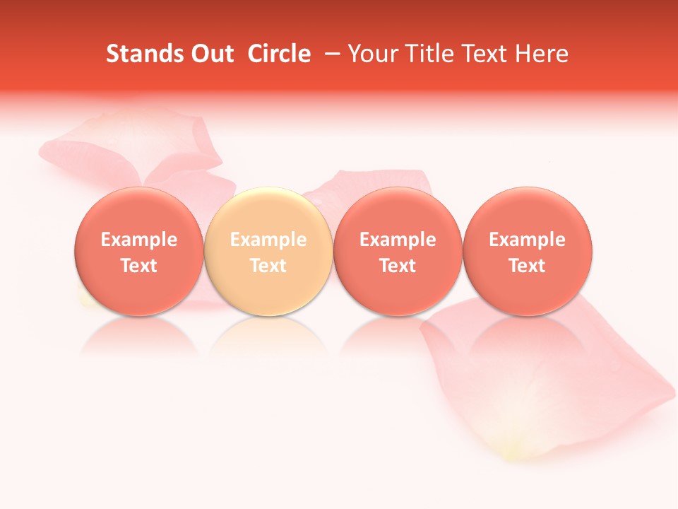 A Group Of Pink Flowers On A White Background PowerPoint Template