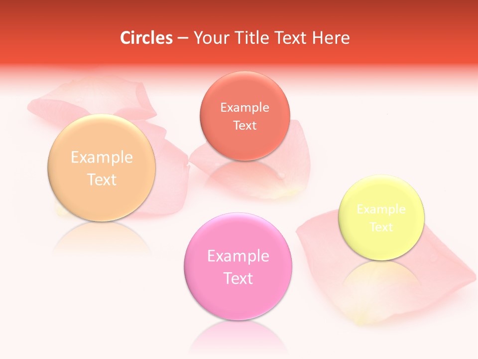 A Group Of Pink Flowers On A White Background PowerPoint Template