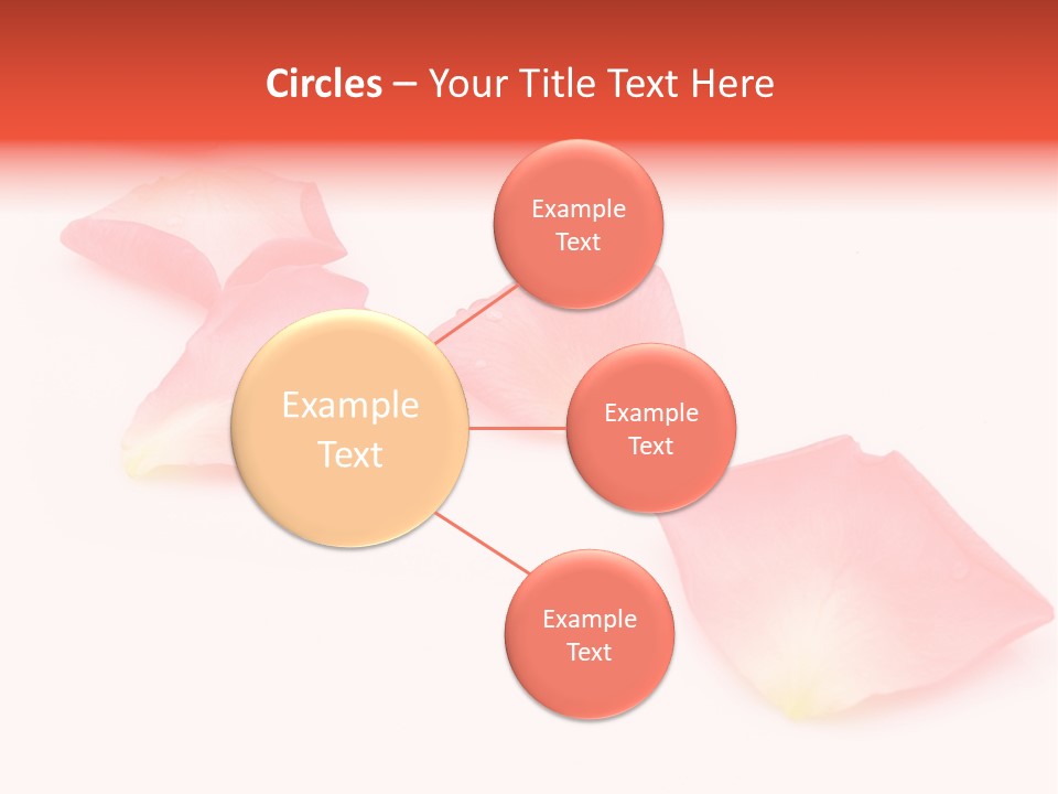 A Group Of Pink Flowers On A White Background PowerPoint Template