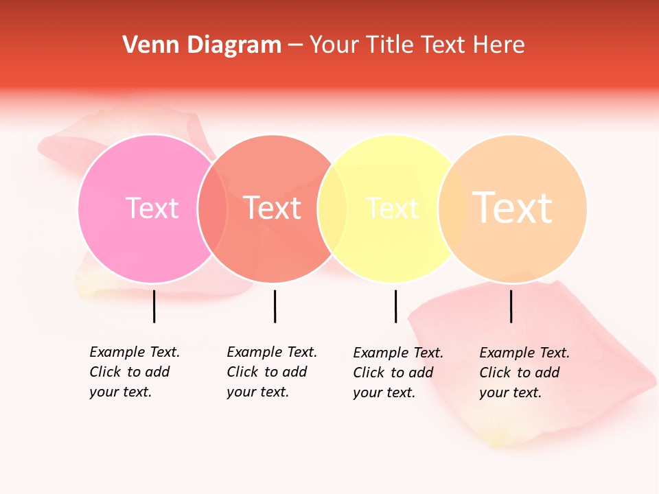 A Group Of Pink Flowers On A White Background PowerPoint Template