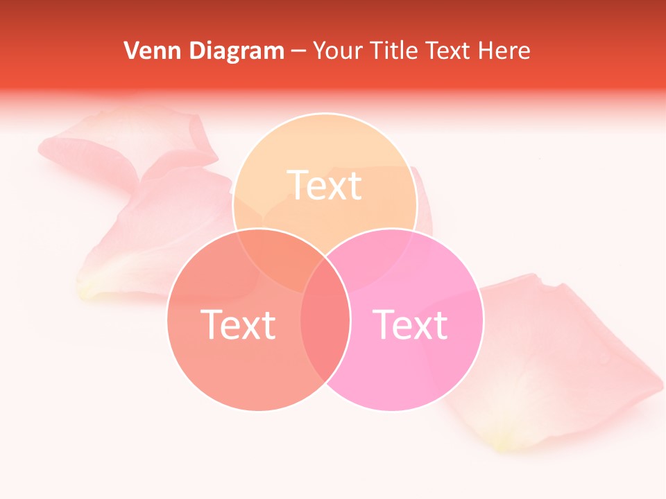 A Group Of Pink Flowers On A White Background PowerPoint Template