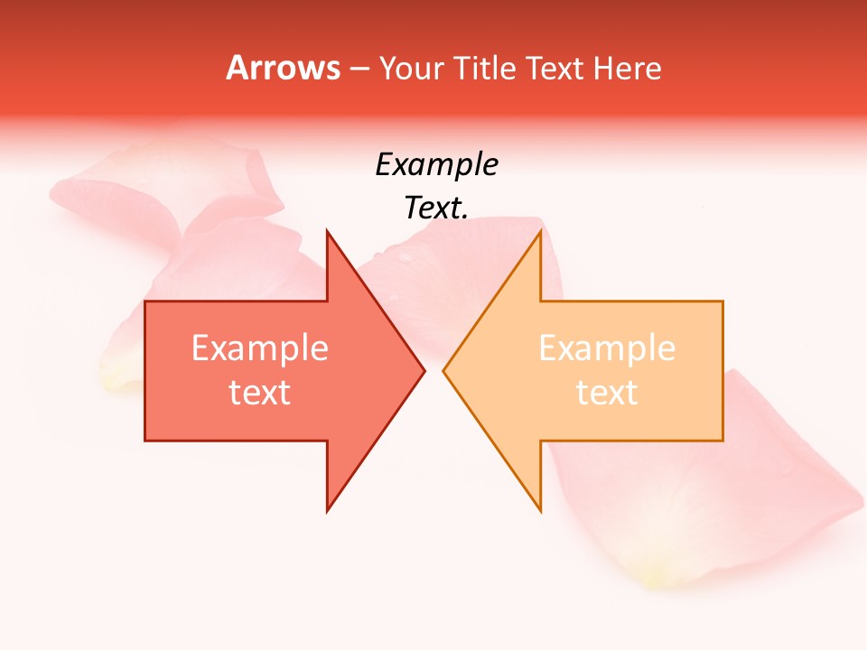 A Group Of Pink Flowers On A White Background PowerPoint Template