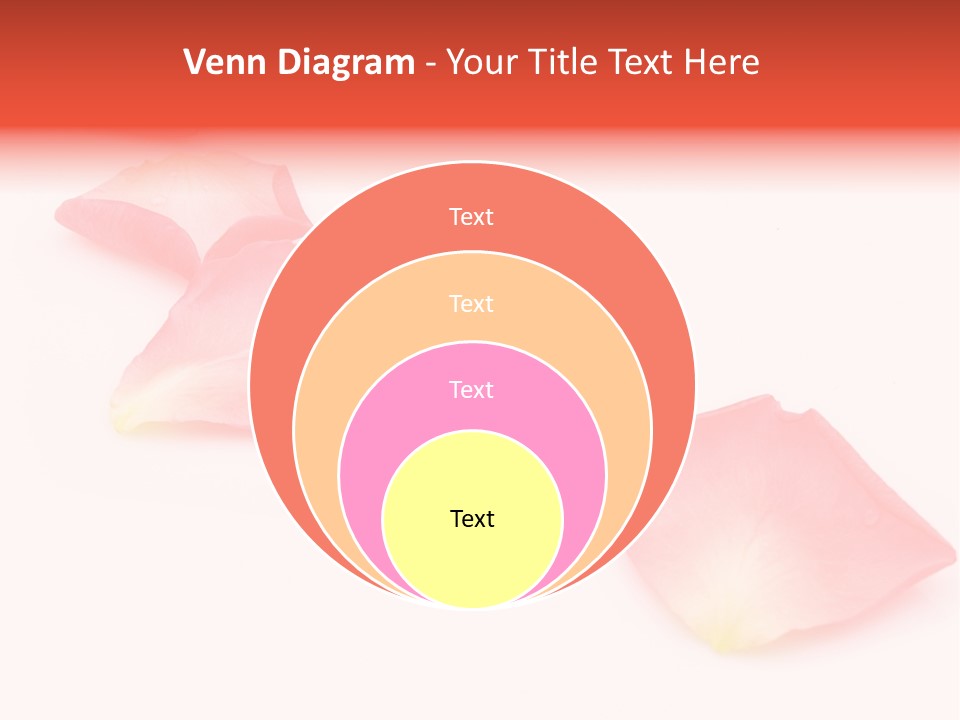 A Group Of Pink Flowers On A White Background PowerPoint Template