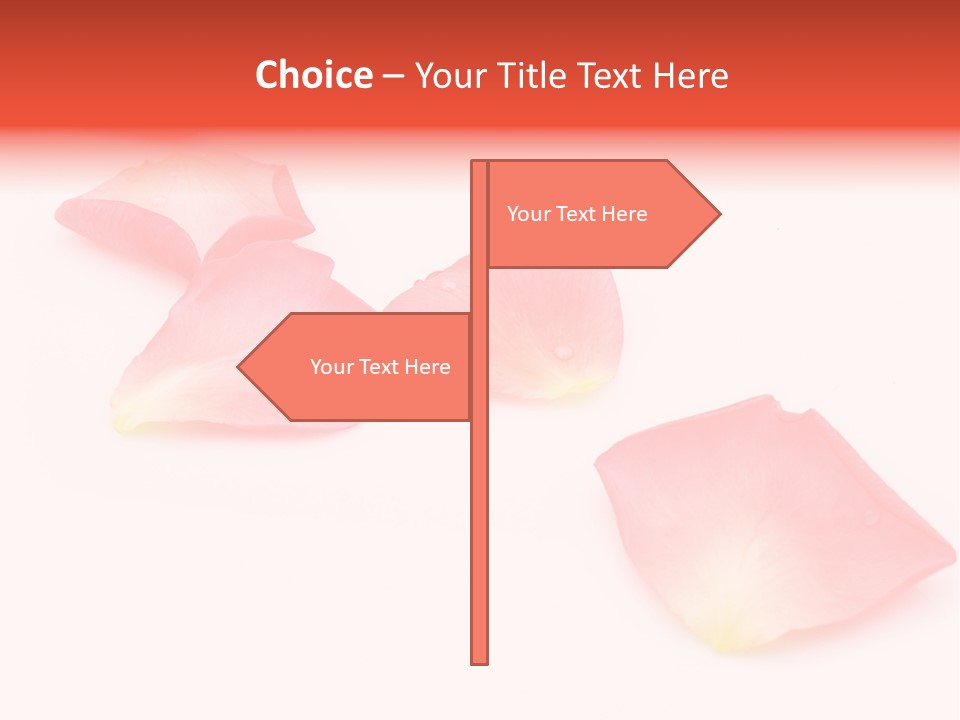 A Group Of Pink Flowers On A White Background PowerPoint Template