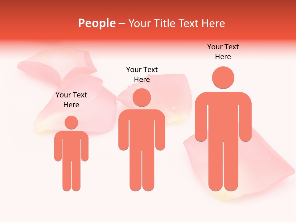 A Group Of Pink Flowers On A White Background PowerPoint Template