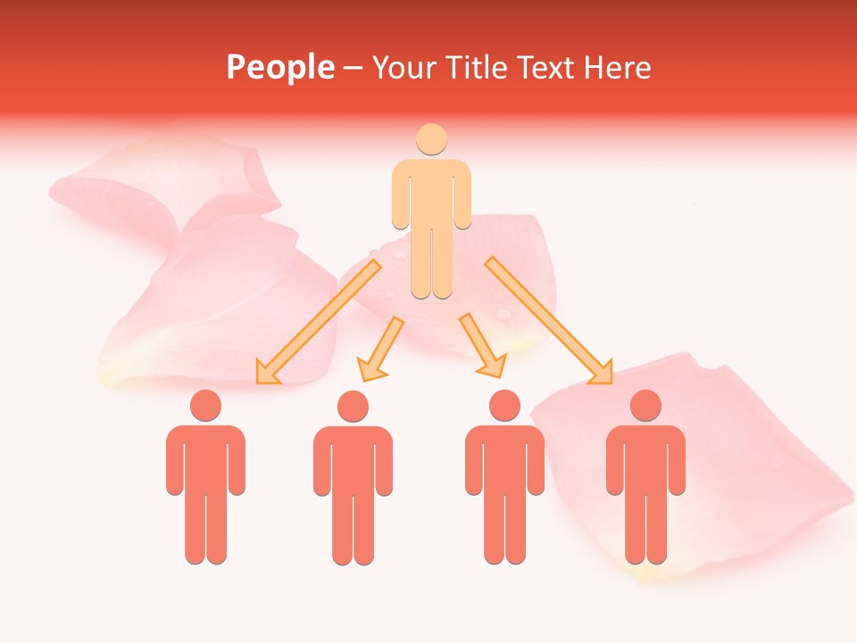 A Group Of Pink Flowers On A White Background PowerPoint Template