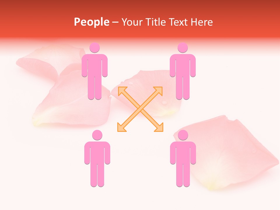 A Group Of Pink Flowers On A White Background PowerPoint Template