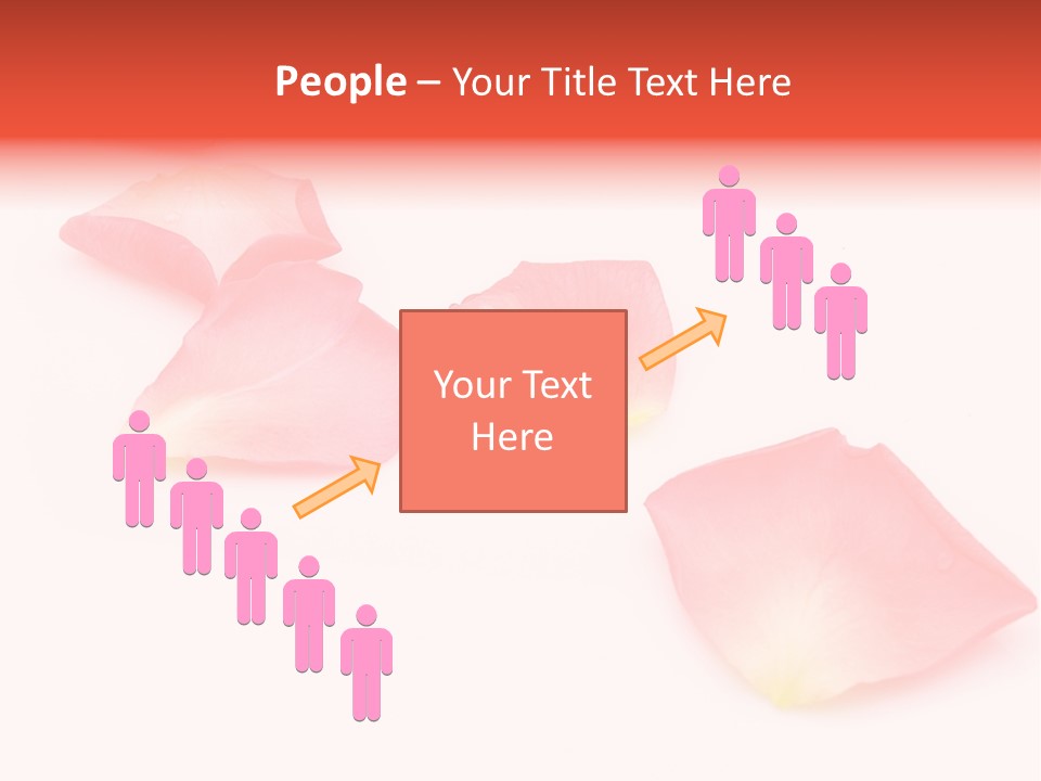 A Group Of Pink Flowers On A White Background PowerPoint Template