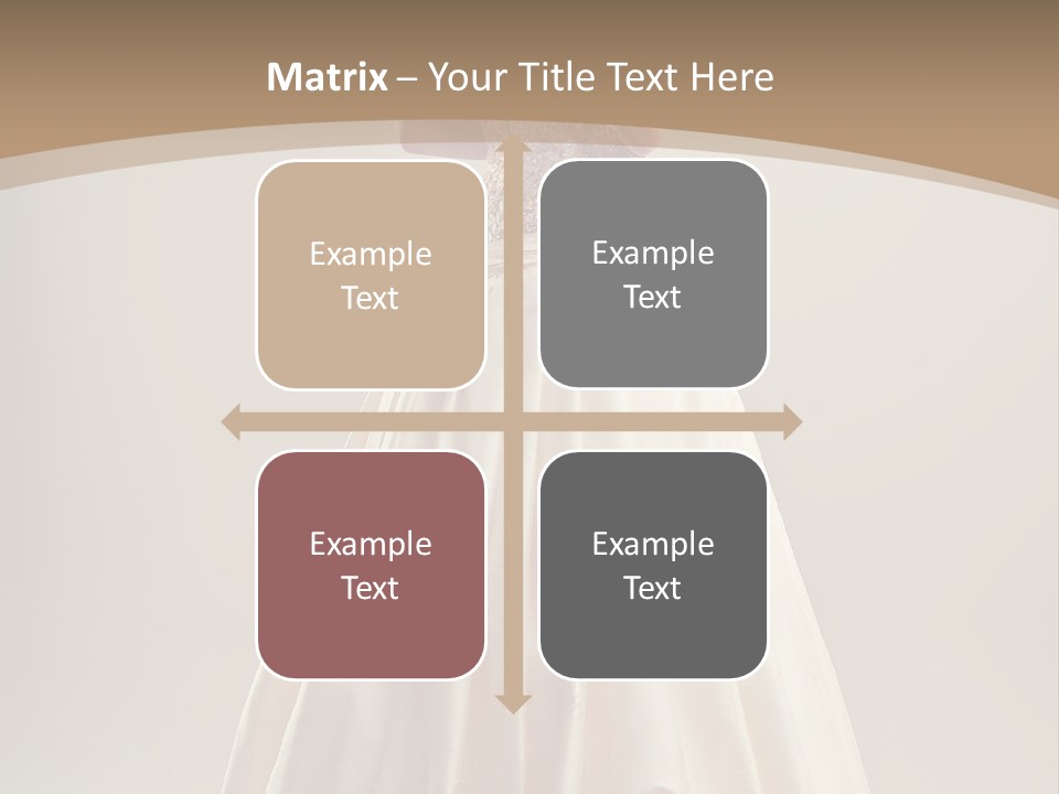 A Woman In A Wedding Dress Powerpoint Template PowerPoint Template