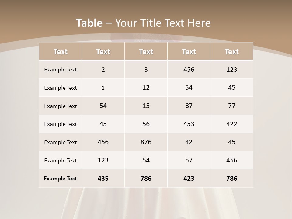 A Woman In A Wedding Dress Powerpoint Template PowerPoint Template