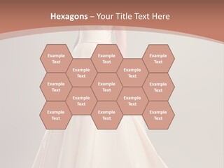 A Beautiful Woman In A Long Dress Powerpoint Template PowerPoint Template