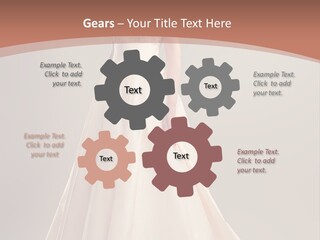 A Beautiful Woman In A Long Dress Powerpoint Template PowerPoint Template