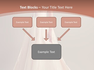 A Beautiful Woman In A Long Dress Powerpoint Template PowerPoint Template