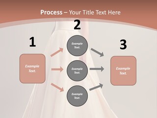 A Beautiful Woman In A Long Dress Powerpoint Template PowerPoint Template