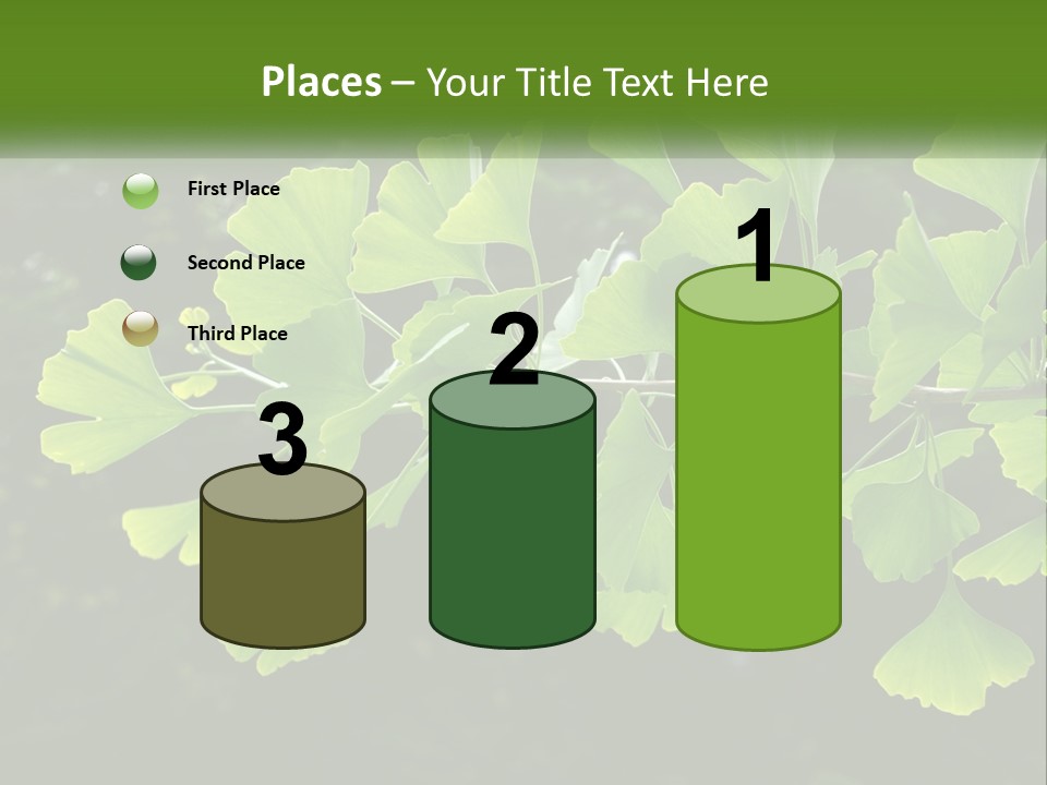 A Tree Branch With Green Leaves On It PowerPoint Template