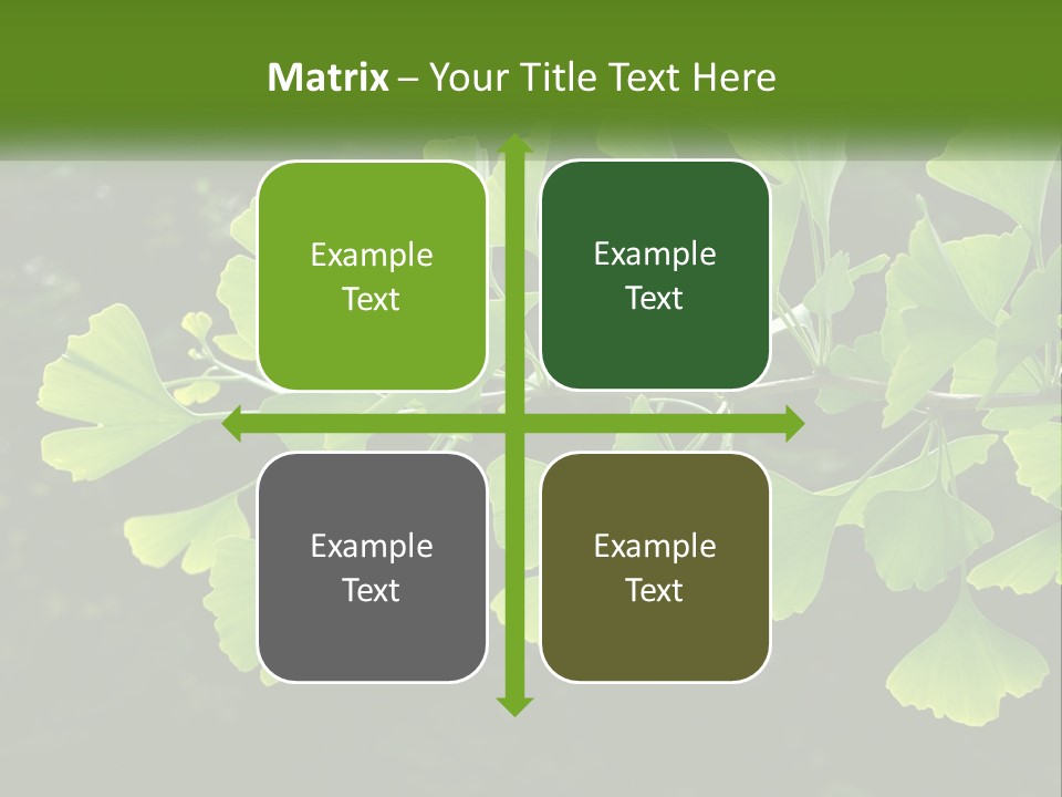 A Tree Branch With Green Leaves On It PowerPoint Template