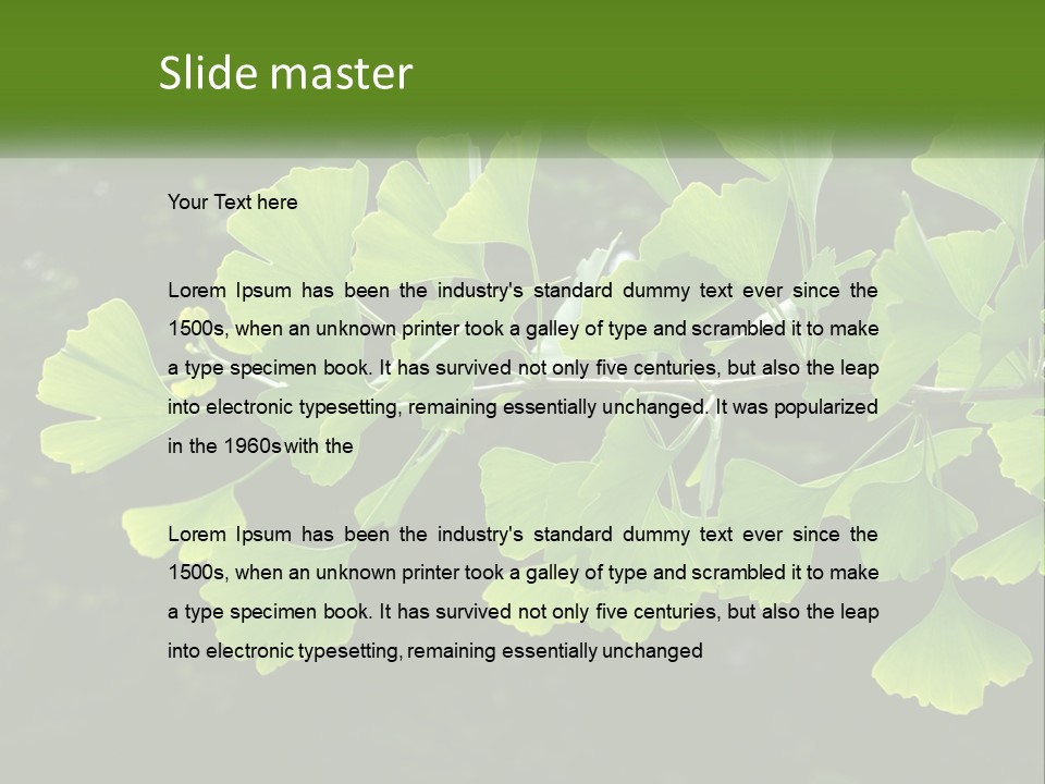 A Tree Branch With Green Leaves On It PowerPoint Template