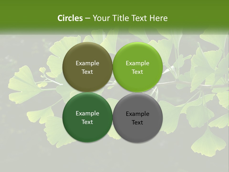 A Tree Branch With Green Leaves On It PowerPoint Template