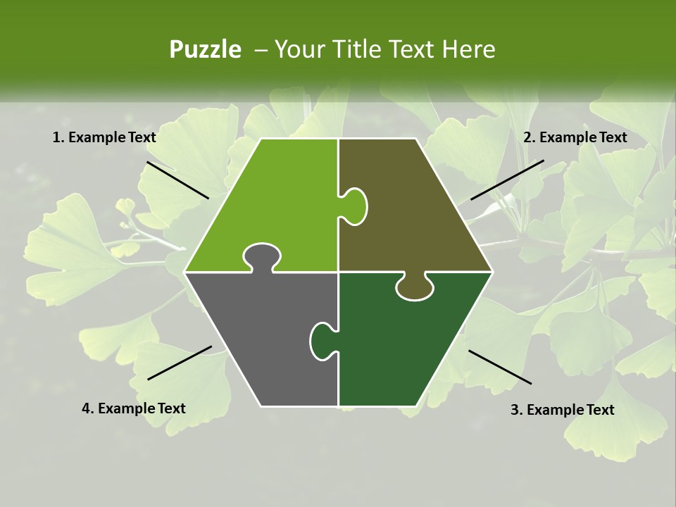 A Tree Branch With Green Leaves On It PowerPoint Template