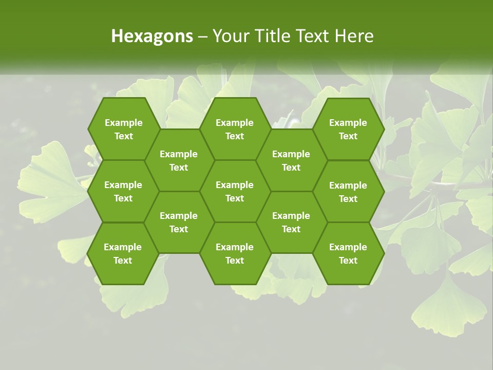 A Tree Branch With Green Leaves On It PowerPoint Template