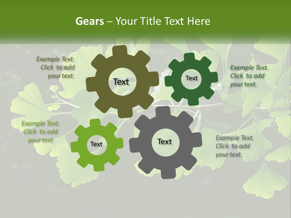 A Tree Branch With Green Leaves On It PowerPoint Template