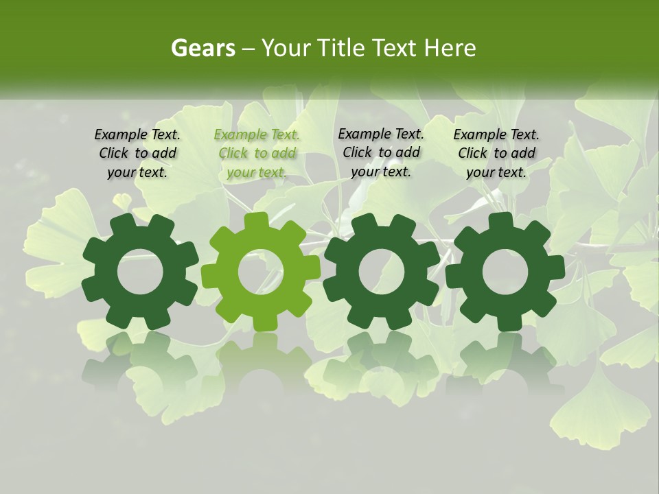 A Tree Branch With Green Leaves On It PowerPoint Template