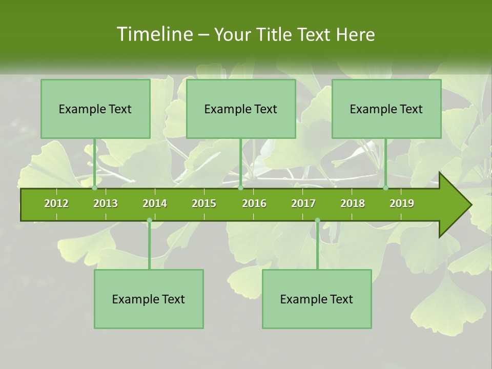 A Tree Branch With Green Leaves On It PowerPoint Template