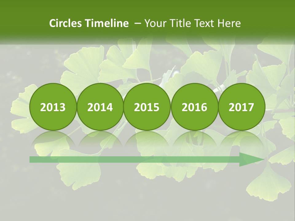 A Tree Branch With Green Leaves On It PowerPoint Template