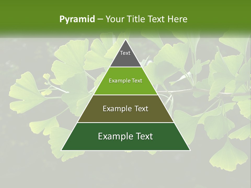 A Tree Branch With Green Leaves On It PowerPoint Template