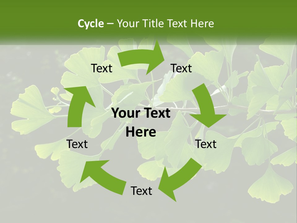 A Tree Branch With Green Leaves On It PowerPoint Template