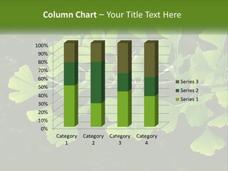 A Tree Branch With Green Leaves On It PowerPoint Template