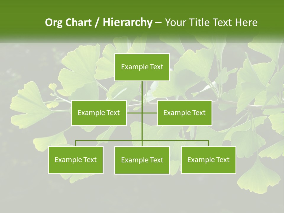 A Tree Branch With Green Leaves On It PowerPoint Template