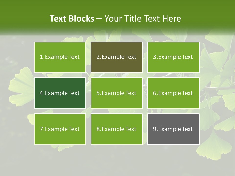 A Tree Branch With Green Leaves On It PowerPoint Template