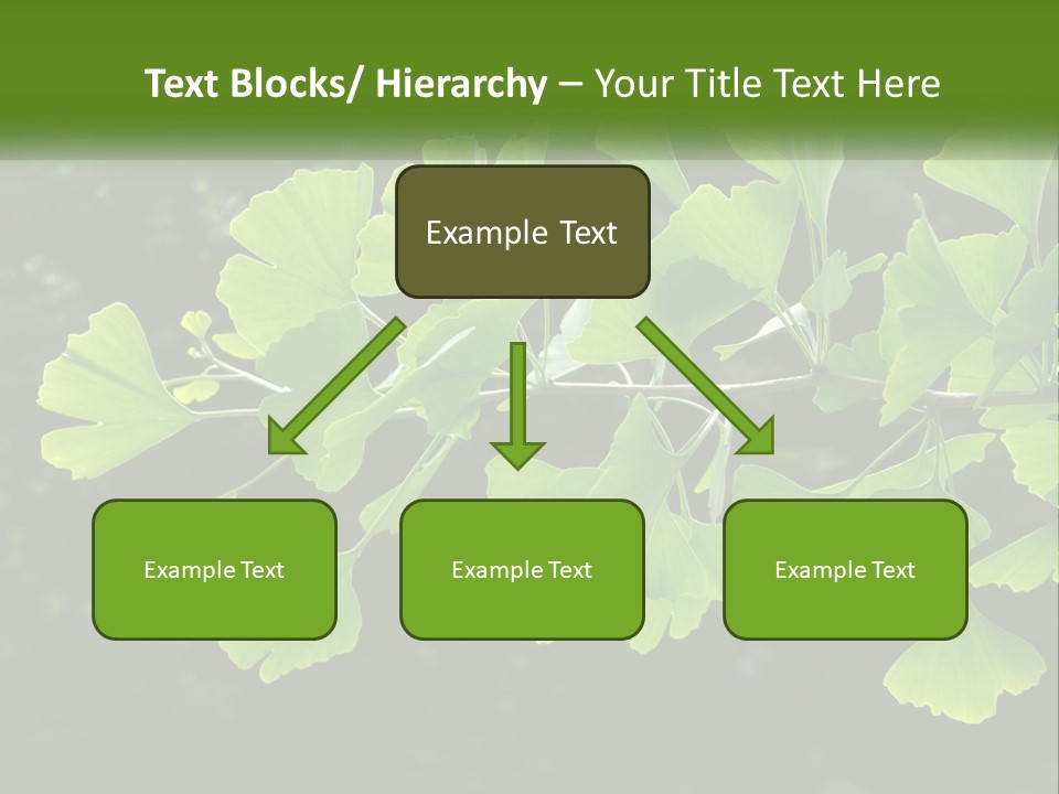 A Tree Branch With Green Leaves On It PowerPoint Template