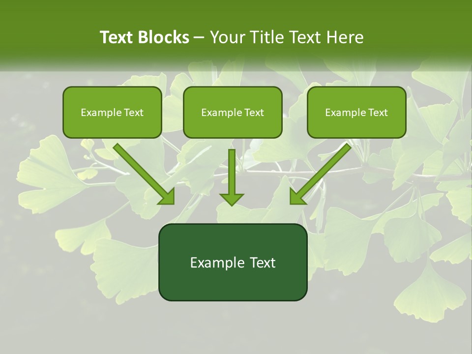 A Tree Branch With Green Leaves On It PowerPoint Template