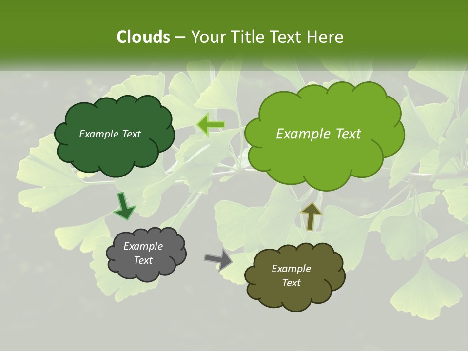 A Tree Branch With Green Leaves On It PowerPoint Template