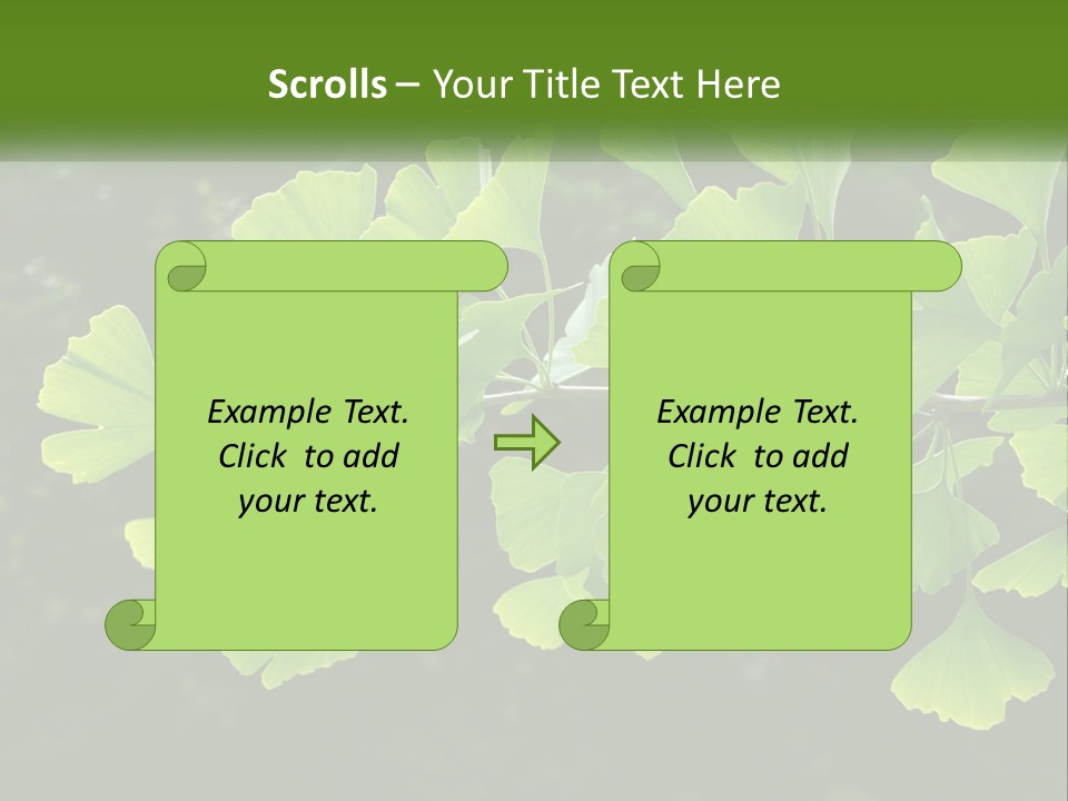 A Tree Branch With Green Leaves On It PowerPoint Template