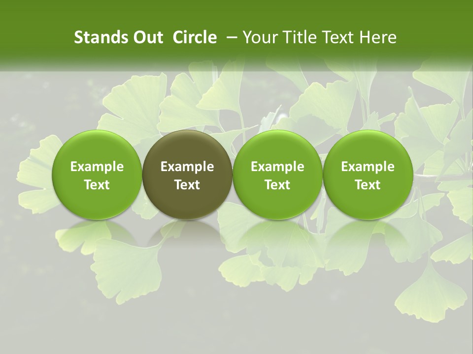 A Tree Branch With Green Leaves On It PowerPoint Template