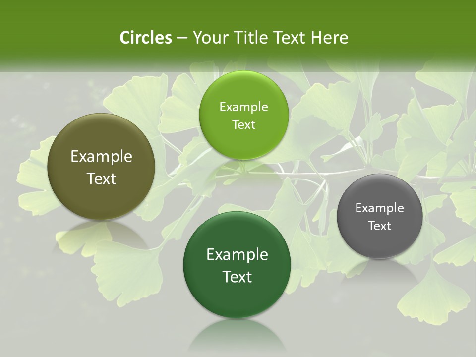 A Tree Branch With Green Leaves On It PowerPoint Template