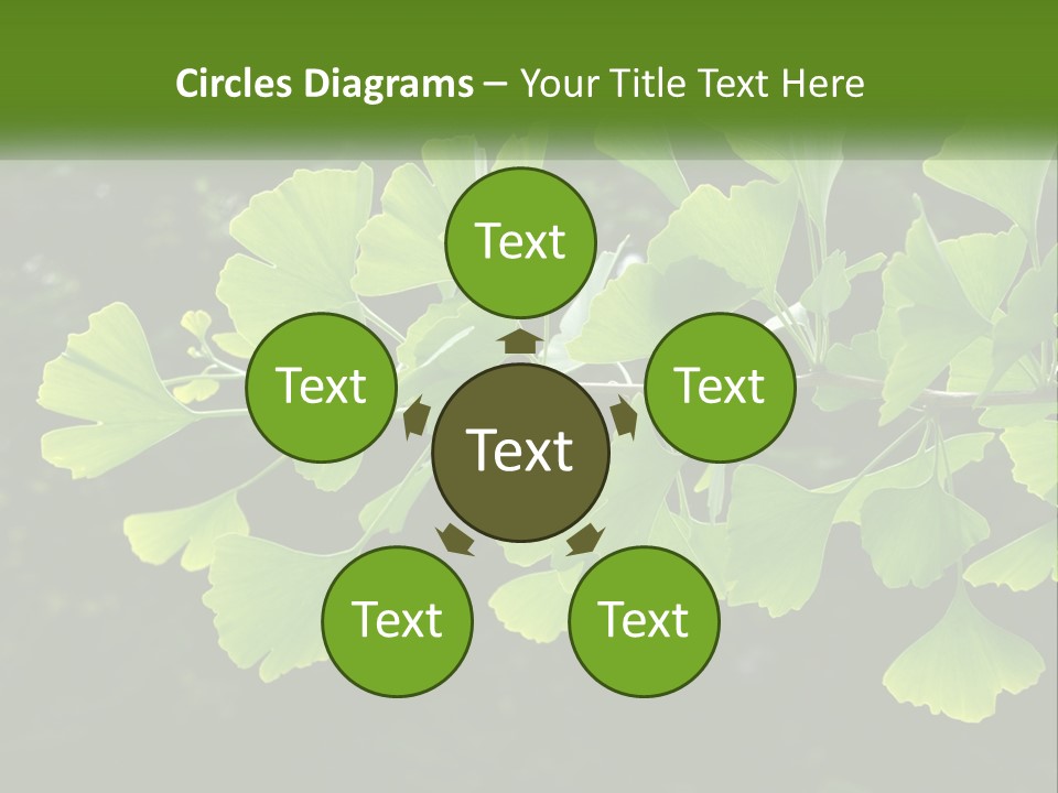 A Tree Branch With Green Leaves On It PowerPoint Template