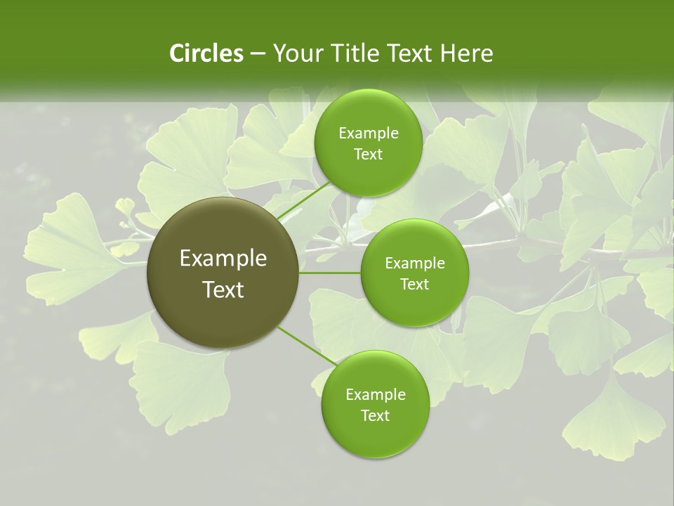 A Tree Branch With Green Leaves On It PowerPoint Template