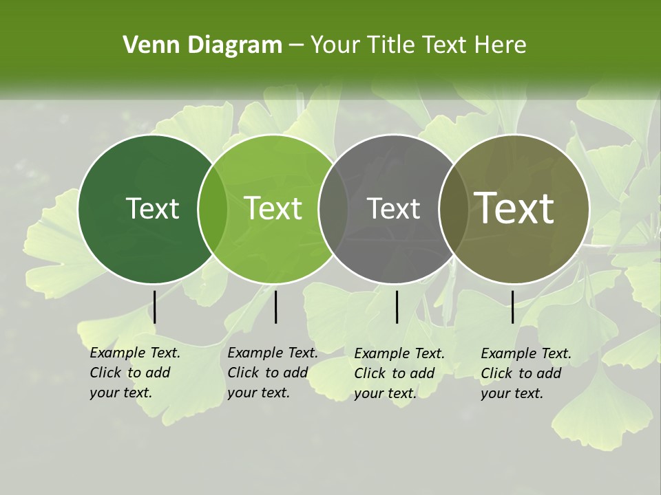 A Tree Branch With Green Leaves On It PowerPoint Template