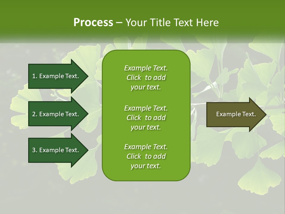 A Tree Branch With Green Leaves On It PowerPoint Template