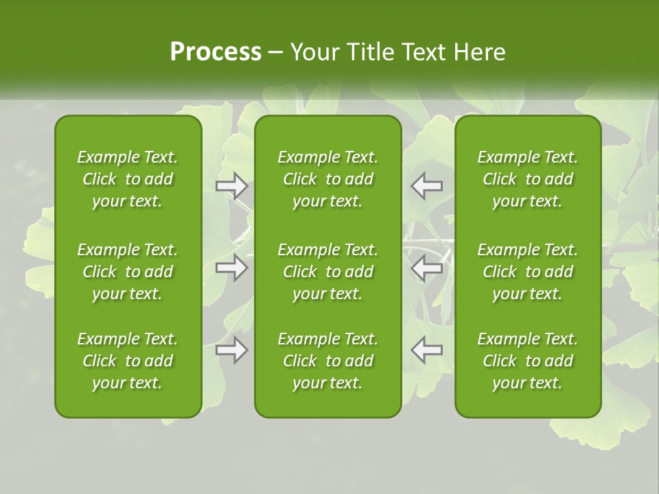 A Tree Branch With Green Leaves On It PowerPoint Template