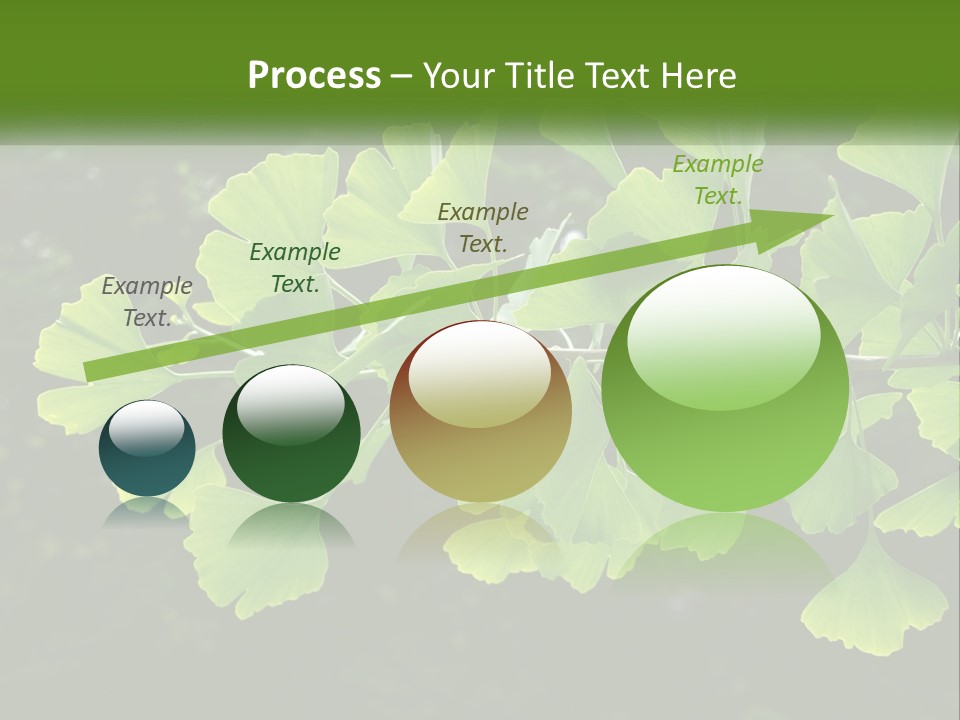 A Tree Branch With Green Leaves On It PowerPoint Template