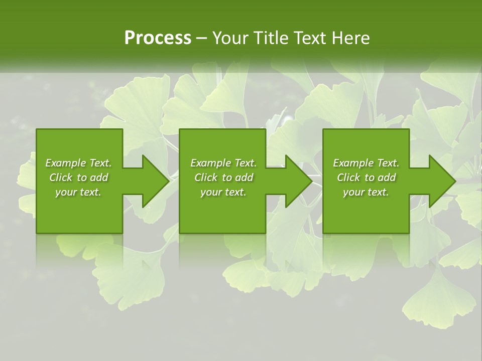 A Tree Branch With Green Leaves On It PowerPoint Template