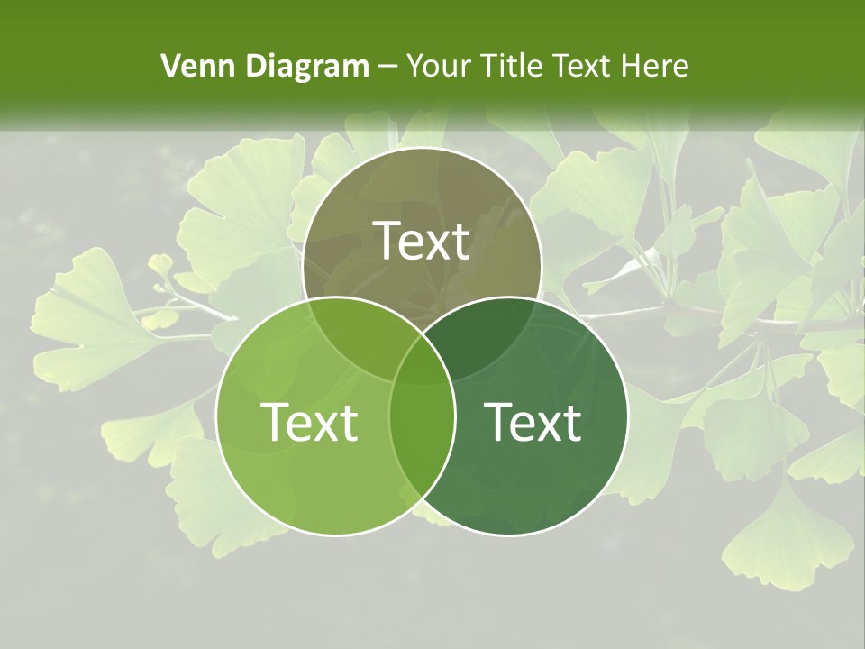 A Tree Branch With Green Leaves On It PowerPoint Template