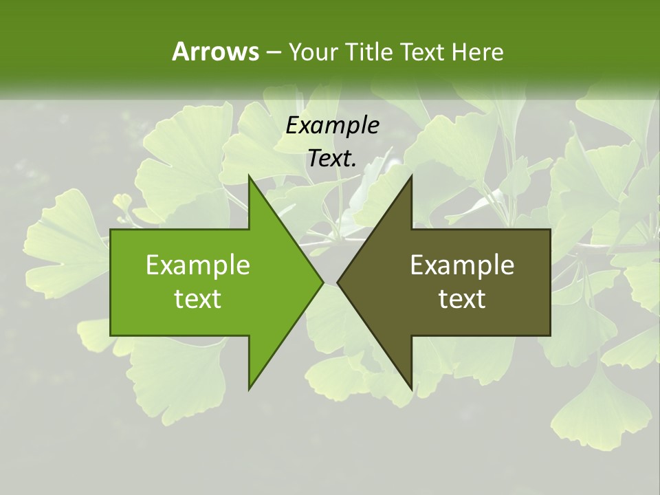 A Tree Branch With Green Leaves On It PowerPoint Template