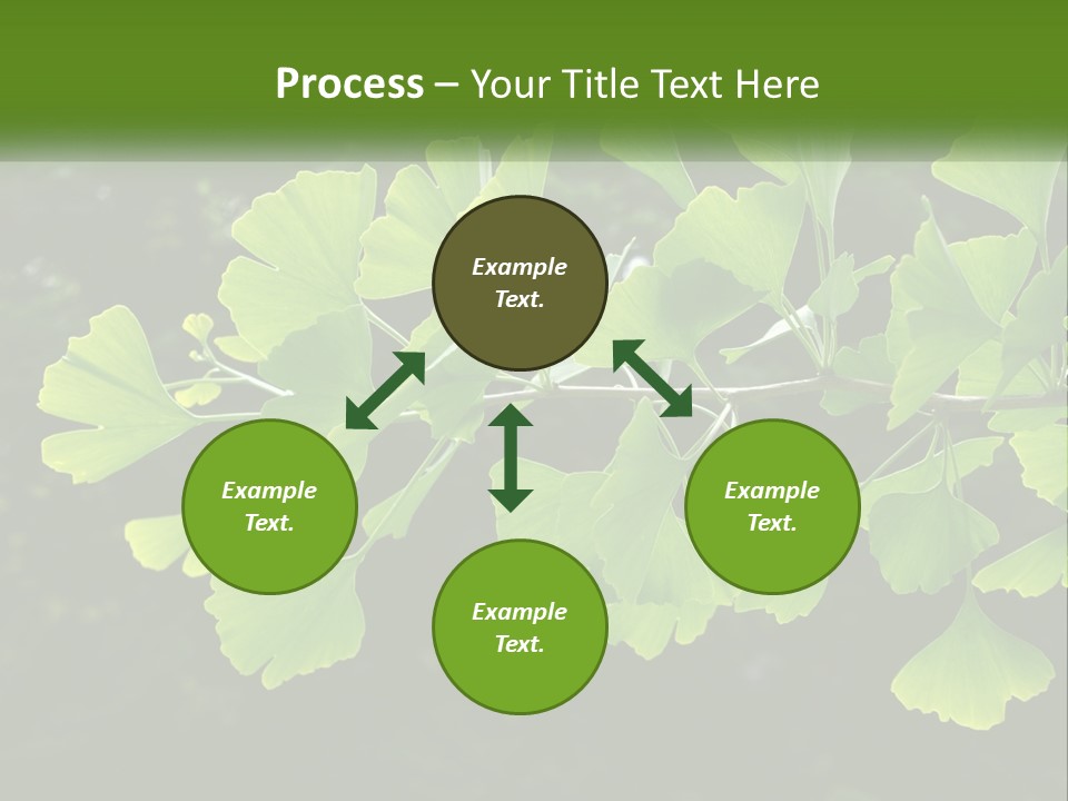 A Tree Branch With Green Leaves On It PowerPoint Template